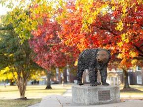 Bear cub statue with fall leaves and Mauney-Schaeffer in the background